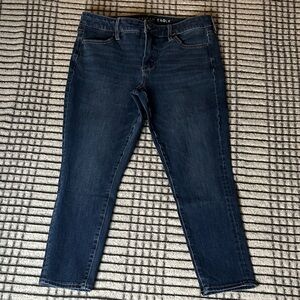 Women's American Eagle Outfitters Skinny Jegging Ankle Jeans (10X-short)